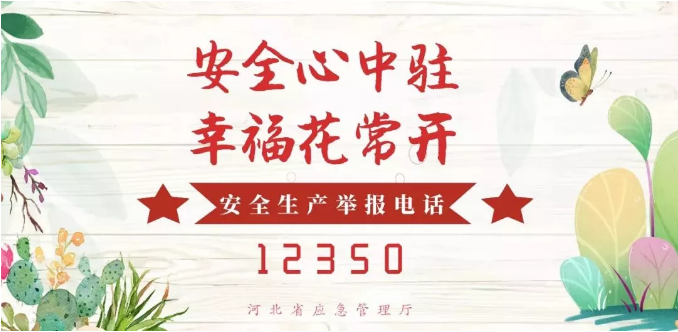 关于更新危险化学品经营许可证与非药品类易制毒化学品生产经营许可证式样的通知(图1)